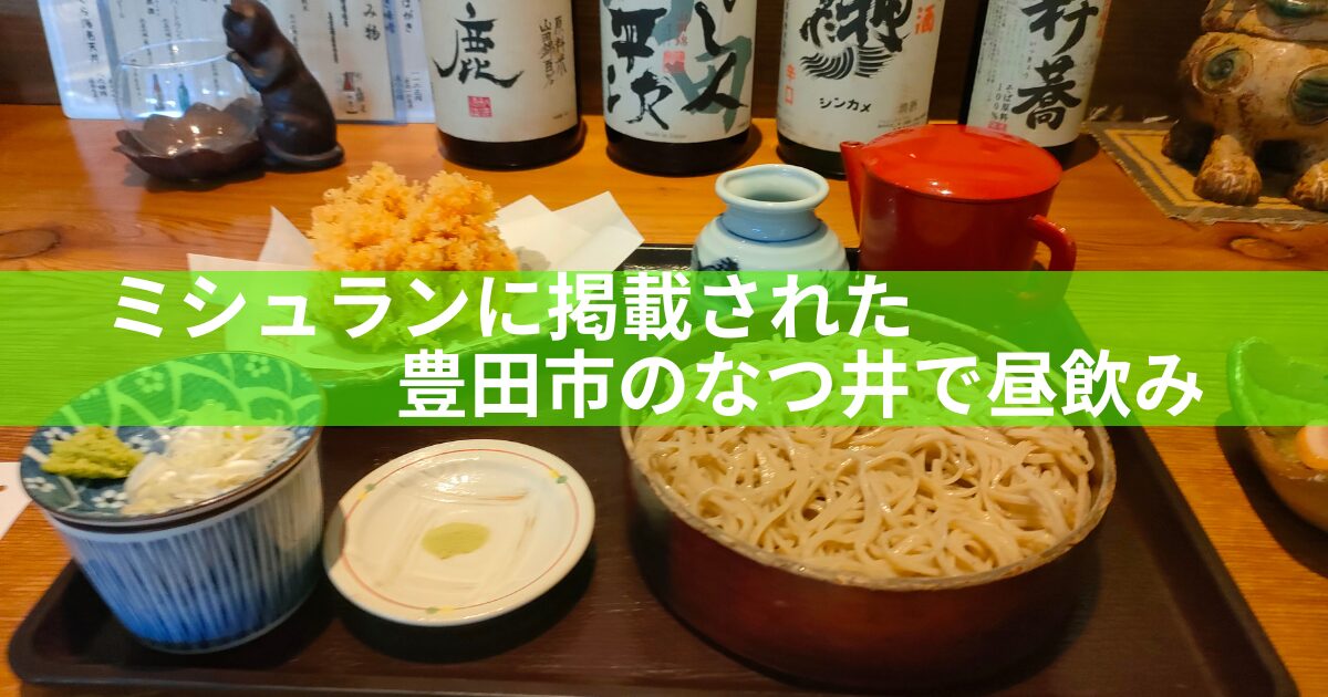 由衣のさく海老かき揚げざる