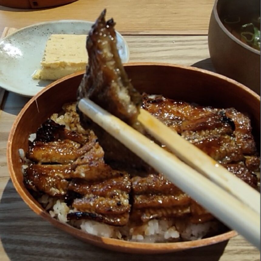 木戸屋の鰻