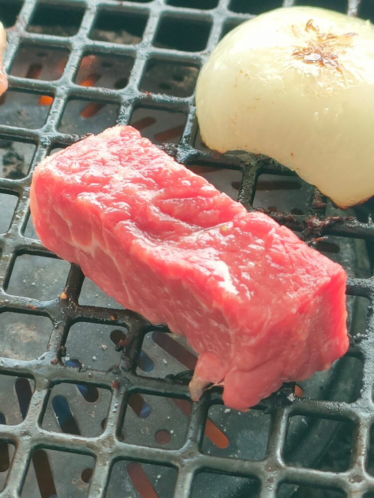 ヒレ肉