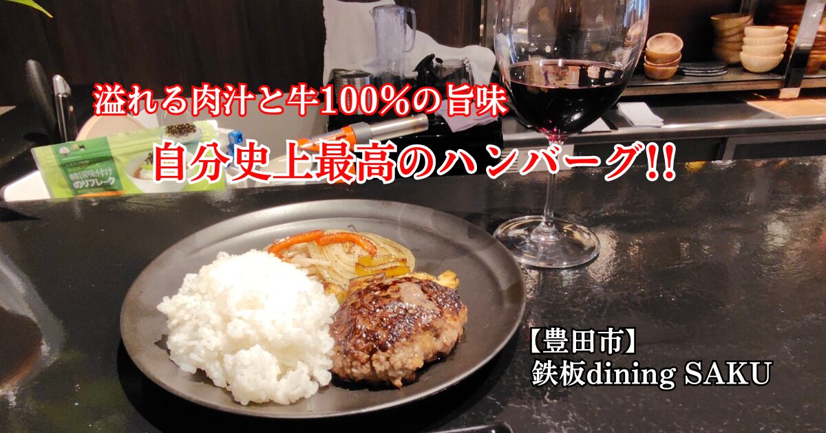 ハンバーグランチと赤ワイン